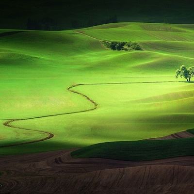 单机的打鱼游戏