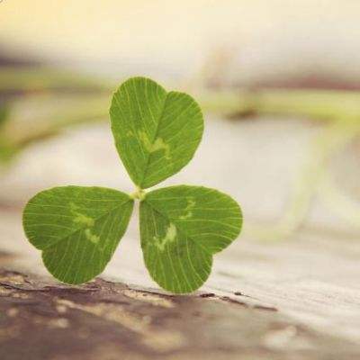 爱游戏ayx中国官方网站