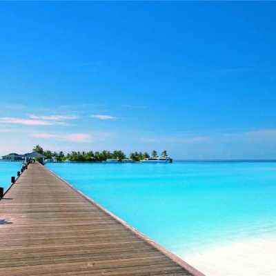 九游会演示计划