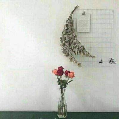 8188www威尼斯下载手机版